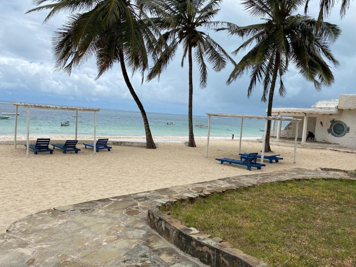 White Lion Malindi