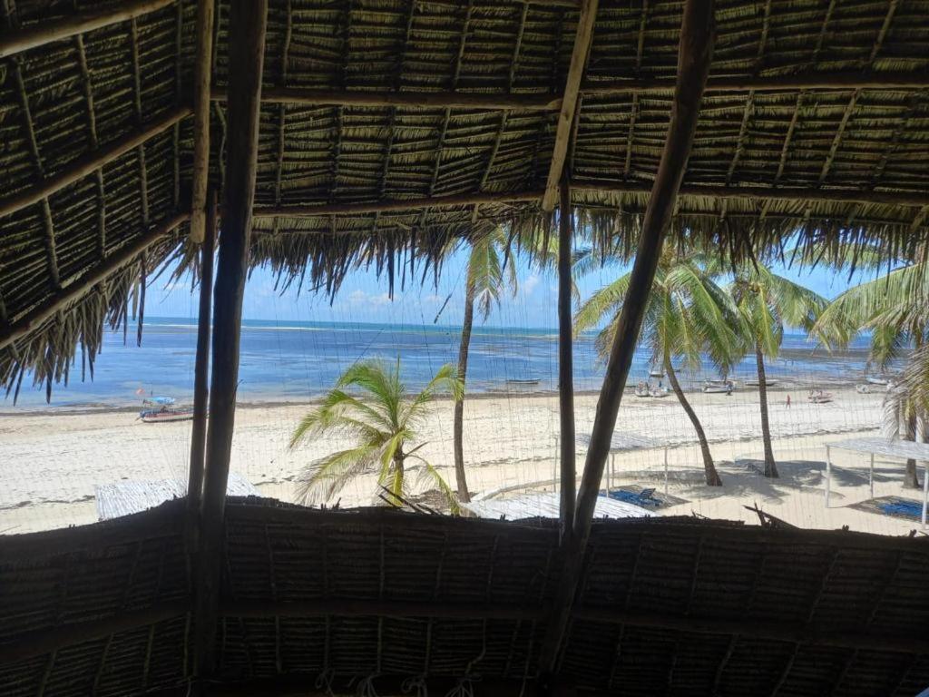 White Lion Malindi