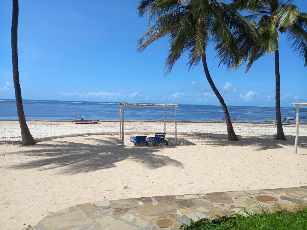 White Lion Malindi