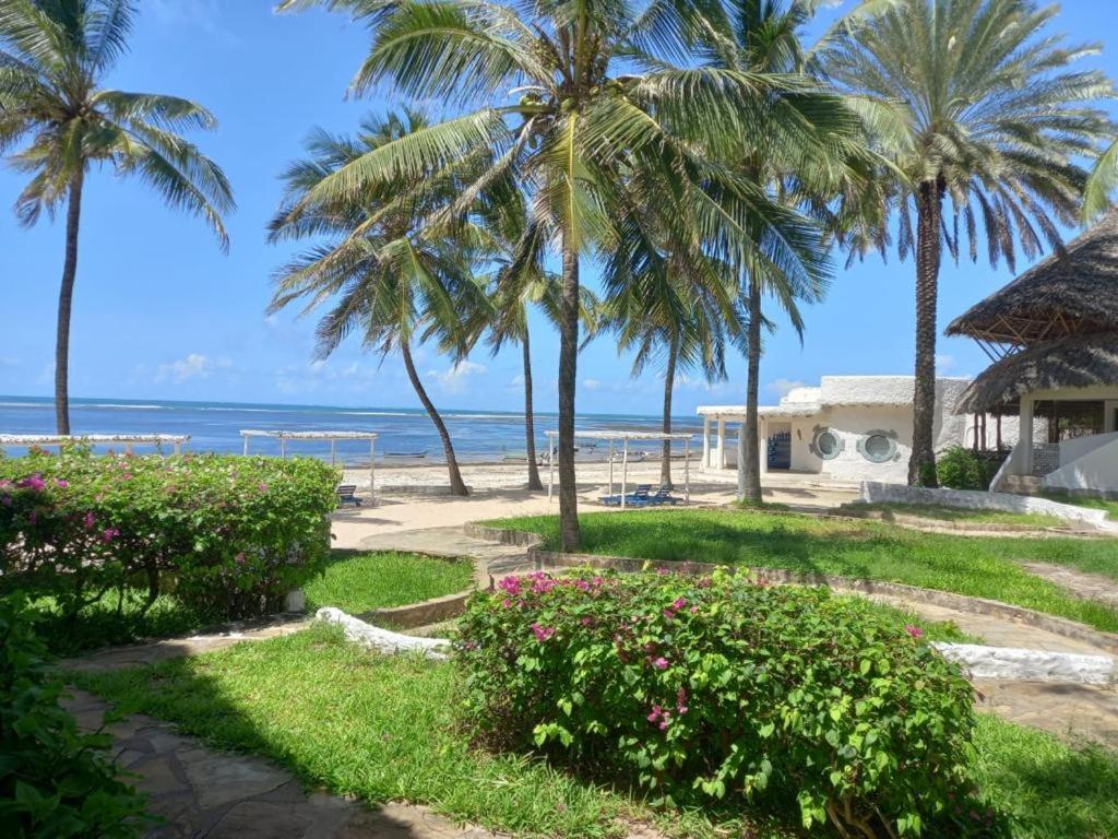 White Lion Malindi